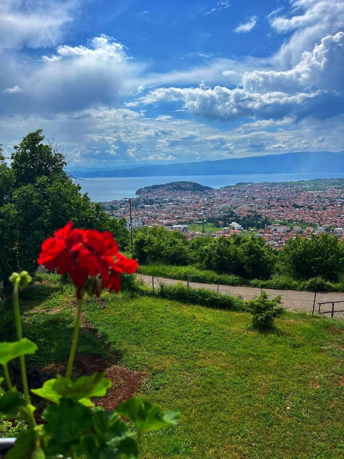 Villa & Apartments Cityview Ohrid Luaran gambar